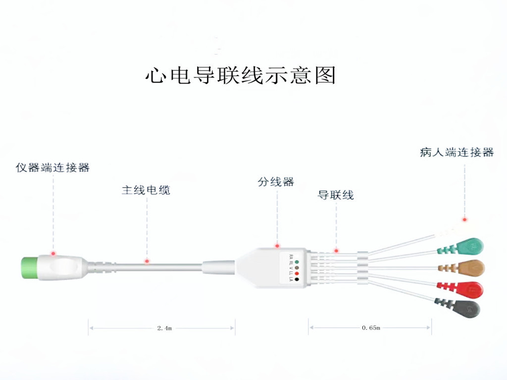 91香蕉视频软件下载心電導聯線