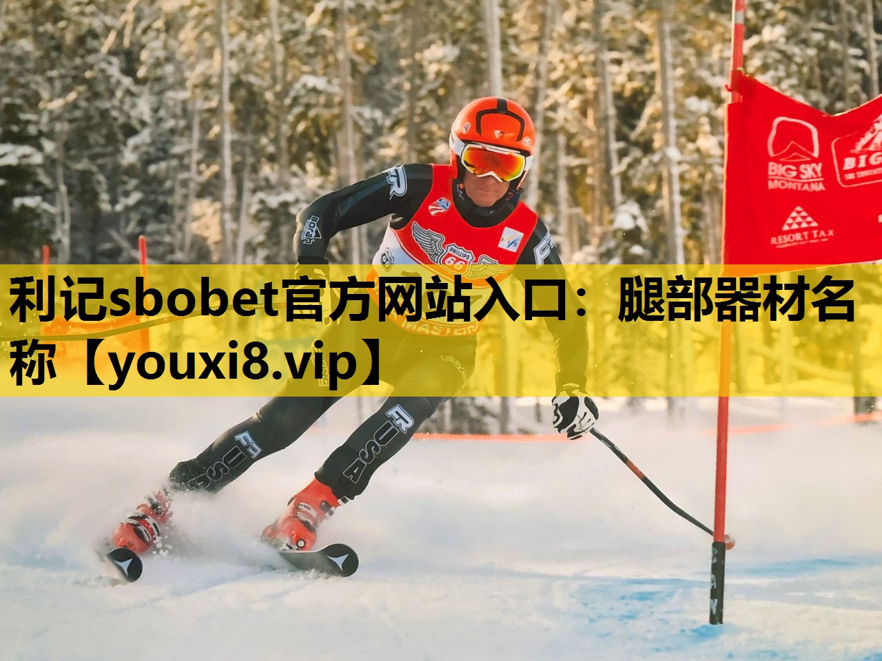 利記sbobet官方網站入口：腿部器材名稱