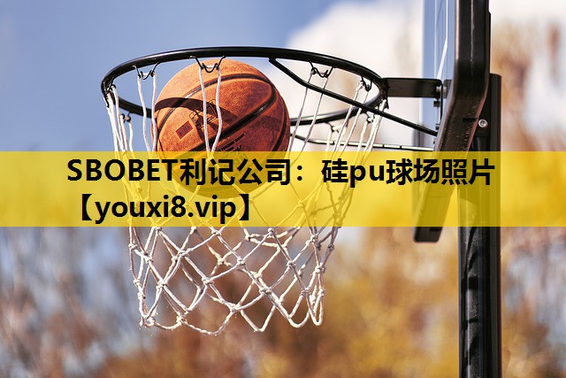 矽pu球場照片