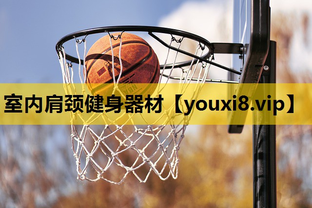 室內肩頸健身器材 室內肩頸健身器材