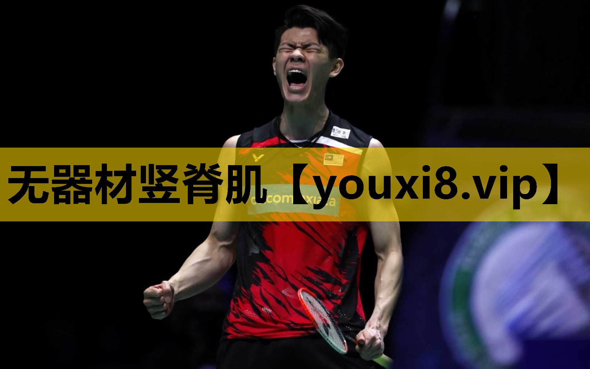 無器材豎脊肌 無器材豎脊肌